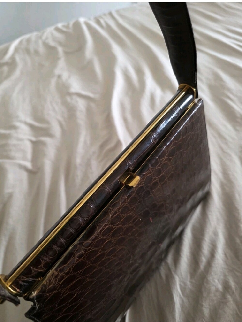 Vintage Alligator Bag - Picture 12 of 14